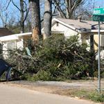 Debris piles: a common sight