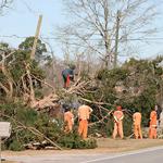 Road prison crew cleans up tree