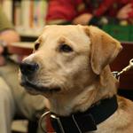 K-9 Visit to Century Library