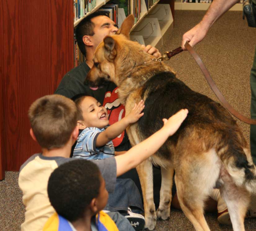 k9-12