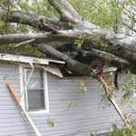 Betts Ave. Home Hit By Tree