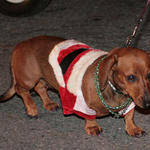 Atmore-Parade-066.jpg