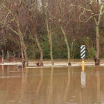 Flomaton-Flooding-098.jpg