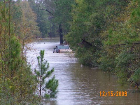 Photo By Amanda Williams