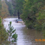 Photo By Amanda Williams