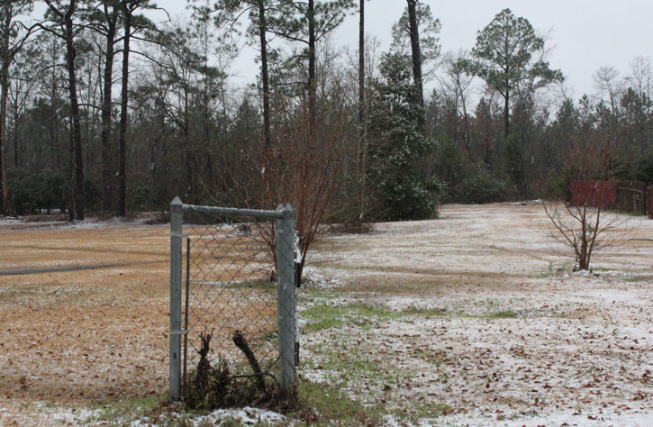 snow-atmore044.jpg