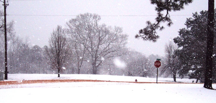 snow-mexia-ala11.jpg