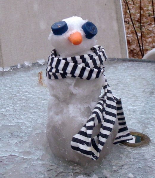 snowman-bratt-fla.jpg