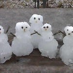 snowman-bratt-fla2.jpg