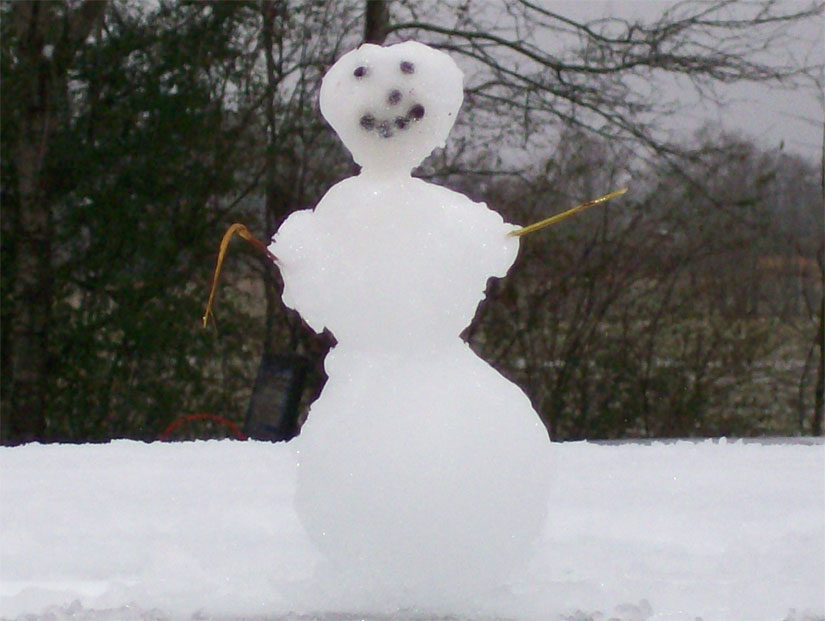 snowman-nokomis-fla.jpg