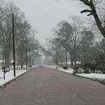 2010-Snow-061.jpg