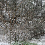 2010-Snow-064.jpg
