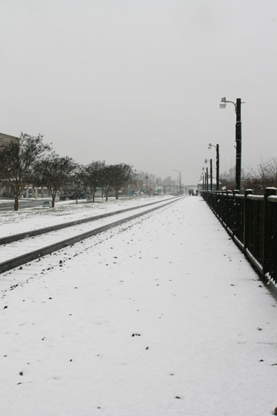 2010-Snow-073.jpg
