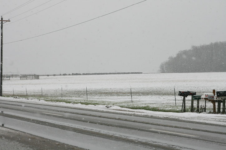 2010-Snow-092.jpg