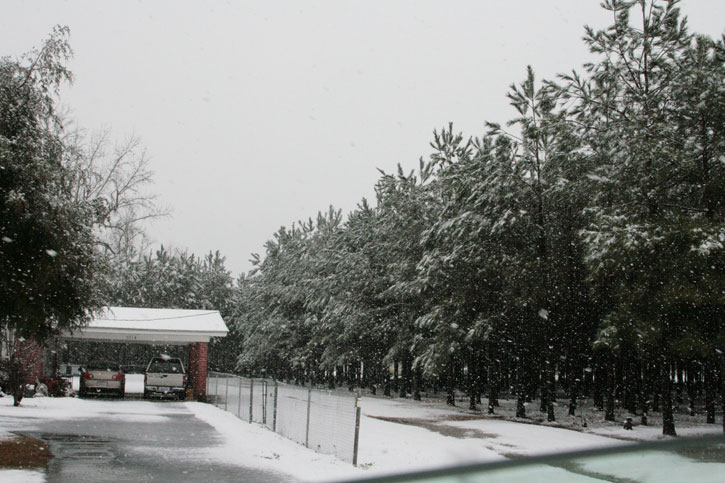 2010-Snow-093.jpg