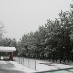 2010-Snow-093.jpg