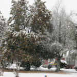 2010-Snow-094.jpg