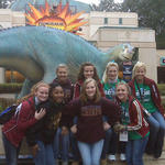 NHS Cheerleaders Orlando