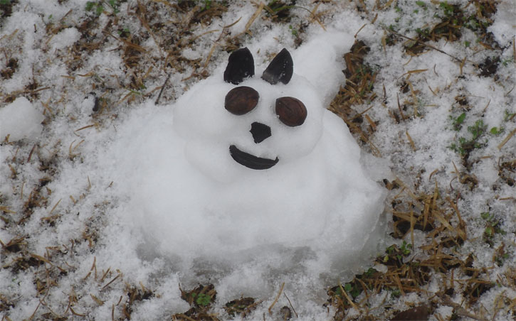 snow-dog-bratt.jpg