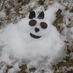 snow-dog-bratt.jpg