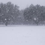 snow-huxford-ala10.jpg