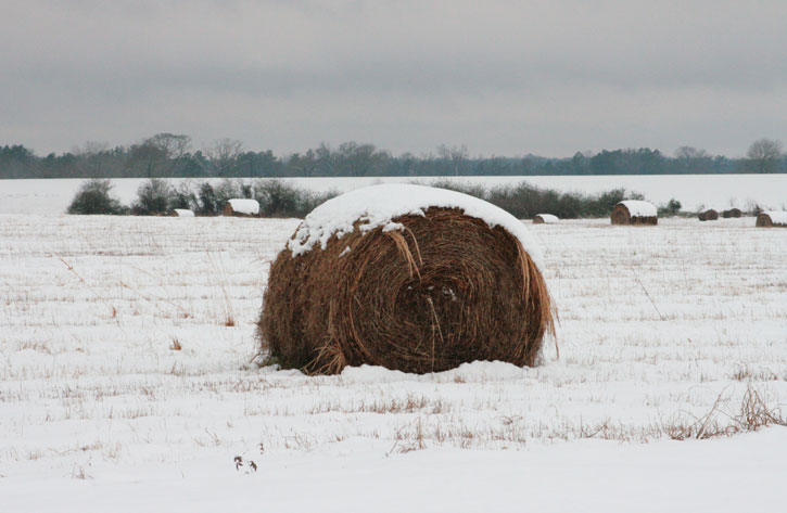 2010-snow-hwy21-north-atmore-12.jpg