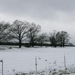 2010-snow-hwy21-north-atmore-26.jpg