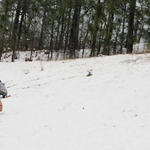 2010-snow-hwy21-north-atmore-32.jpg