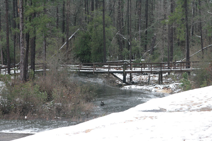 2010-snow-little-river-state-park-10.jpg