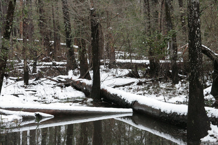 2010-snow-little-river-state-park-11.jpg