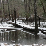 2010-snow-little-river-state-park-12.jpg