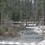 2010-snow-little-river-state-park-31.jpg