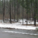 2010-snow-little-river-state-park-32.jpg