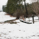 2010-snow-little-river-state-park-44.jpg