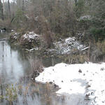 2010-snow-little-river-state-park-49.jpg