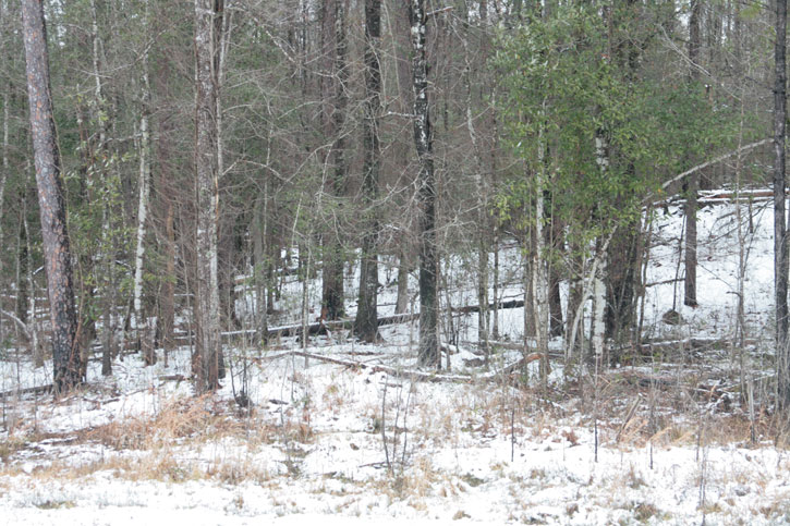 2010-snow-little-river-state-park-51.jpg