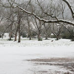 2010-snow-uriah-ala-19.jpg