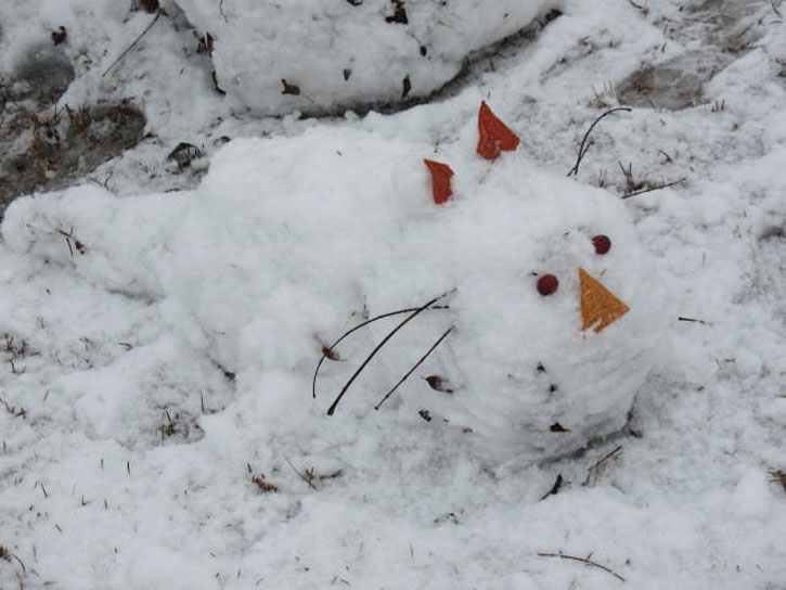 snowman-015.jpg