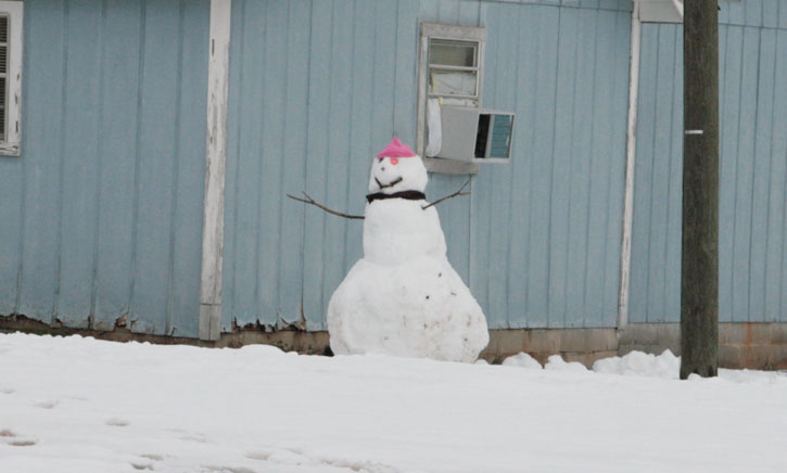 snowman-043.jpg