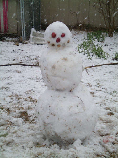 snowman-053.jpg