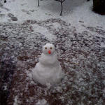 snowman-070.jpg