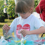 Molino Memorial Festival