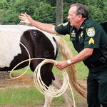 Horses Seized