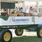 Blueberry-Jamboree-074.jpg