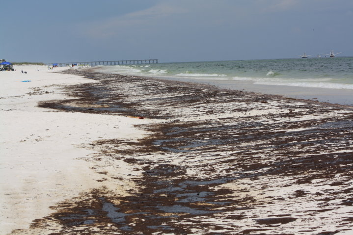 Pcola-Beach-Oil-004.jpg