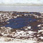 Pcola-Beach-Oil-015.jpg