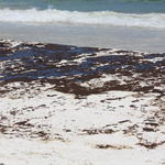 Pcola-Beach-Oil-016.jpg