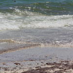 Pcola-Beach-Oil-029.jpg