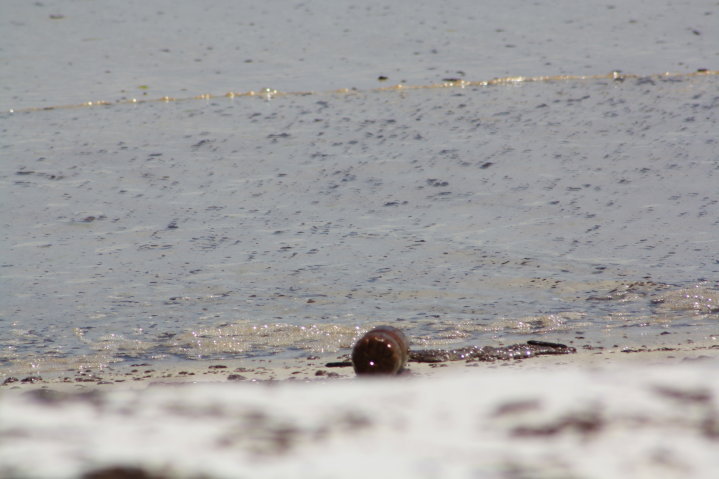 Pcola-Beach-Oil-031.jpg