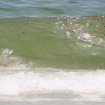 Pcola-Beach-Oil-035.jpg